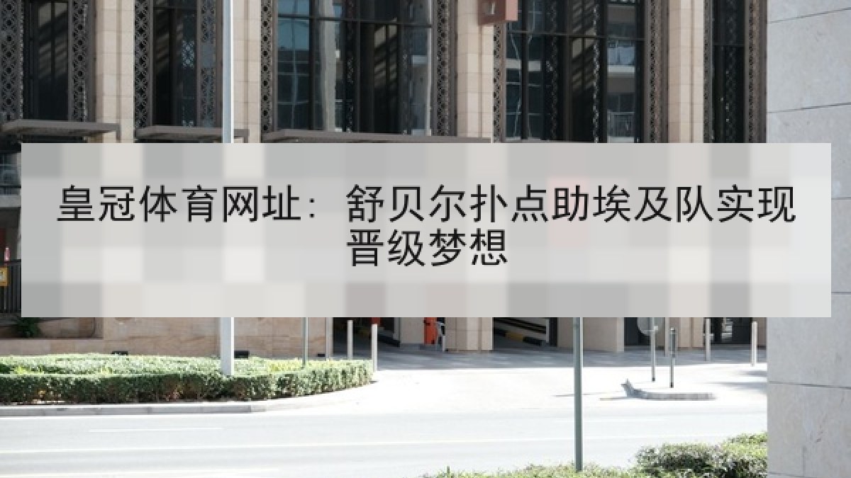 皇冠体育网址: 舒贝尔扑点助埃及队实现晋级梦想